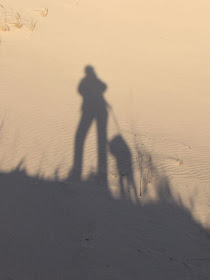shadow of hiker and dog