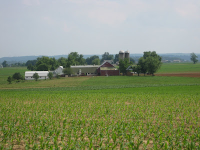 Amish Country Furniture on Old Family Farm  Now Amish   Lancaster County  Pa