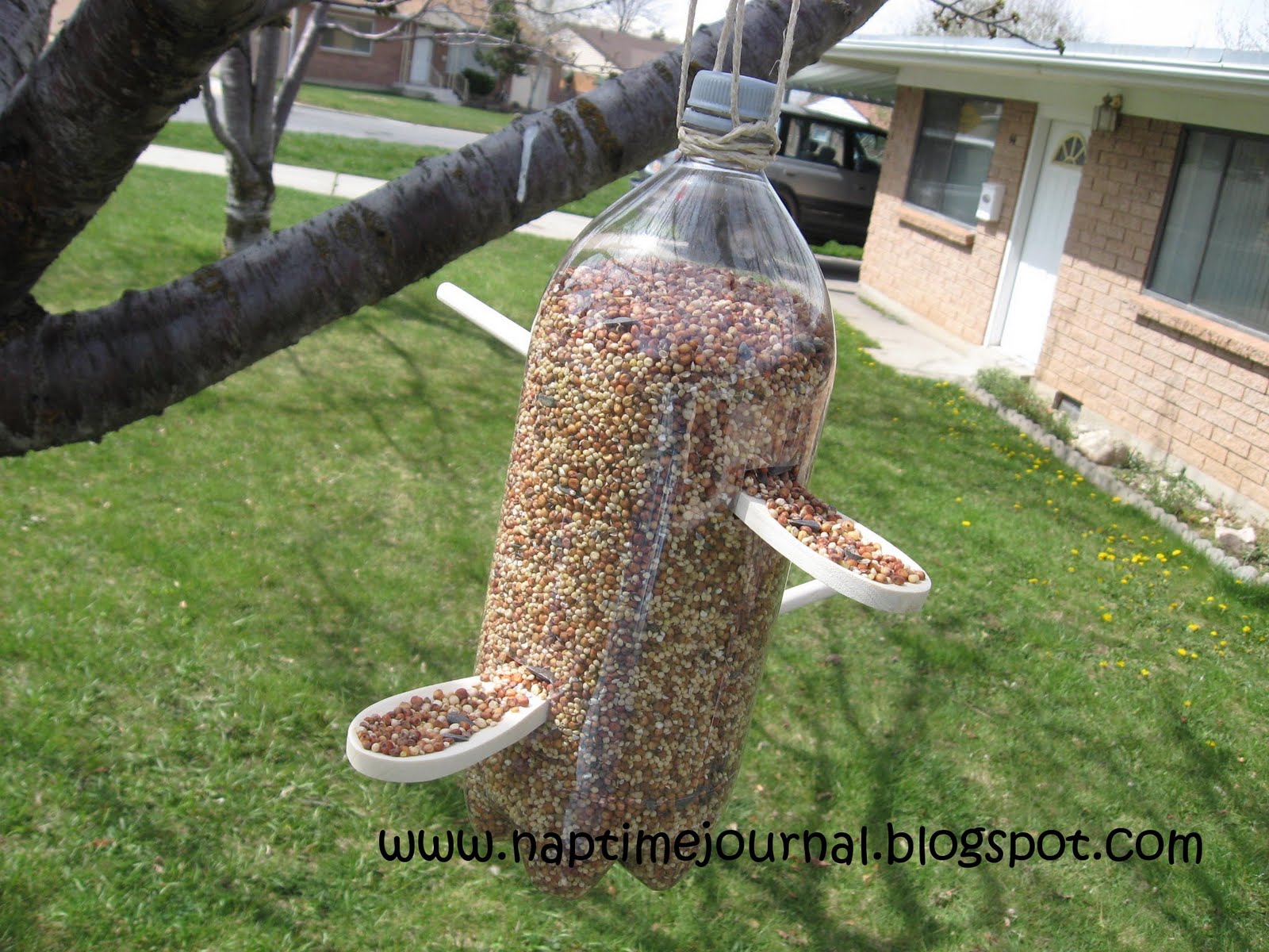 Nap Time Journal: Soda Pop BIRD FEEDER