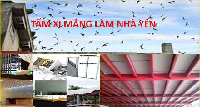 tâm xi măng làm nhà nuôi chim yến