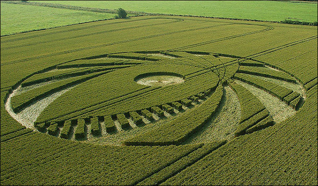 misteri-crop-circle