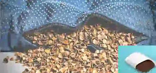 Buckwheat Pillow- seat cushion