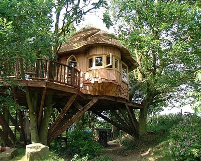 Home Design on House Designs At Housephoenix  Tree House Plans