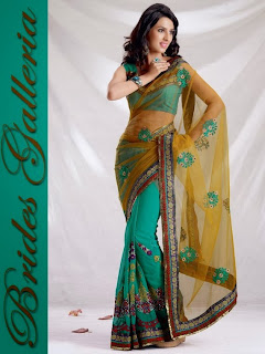 Georgette/Net Party Wear Sarees 2013-2014-06