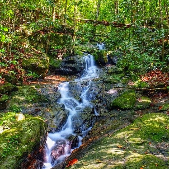 Sinharaja Rain Forest in Sri Lanka water falls