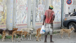 Poor people with poor dogs in Sao Tome