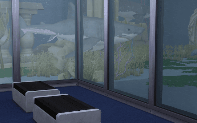 bassin requin sims 4