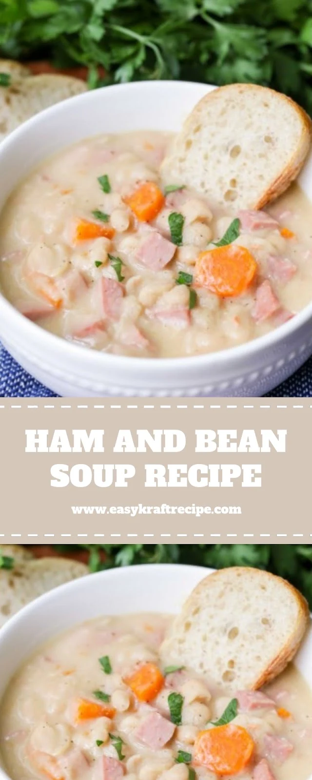 HAM AND BEAN SOUP RECIPE HAM AND BEAN SOUP RECIPE