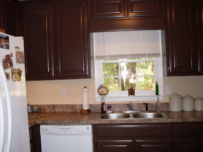 Painted Kitchen Cabinets