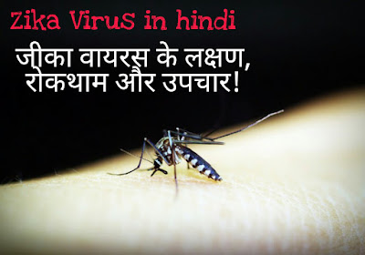 banner  for  the post "zikra virus"