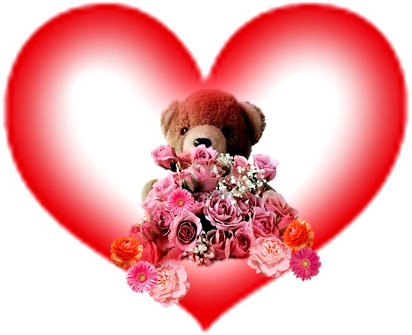 rosas osos de peluches imagenes en YouTube