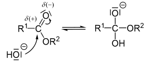 mekanisme hidrolisis ester