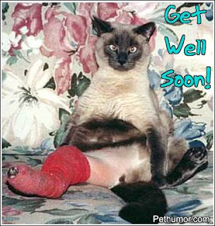 Funny Get Well Soon pictures