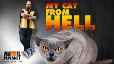 cat-hell