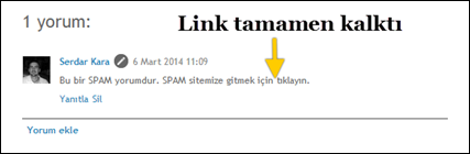 spam yorum