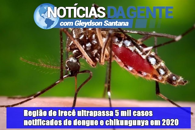 Região de Irecê ultrapassa 5 mil casos notificados de dengue e chikungunya em 2020