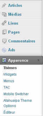 modifier-theme-wordpress_2