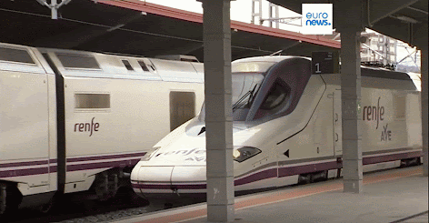 des trains de la compagnie espagnole Renfe