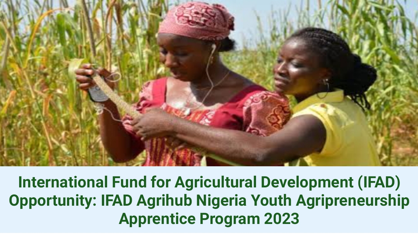 International Fund for Agricultural Development (IFAD) Opportunity: IFAD Agrihub Nigeria Youth Agripreneurship Apprentice Program 2023