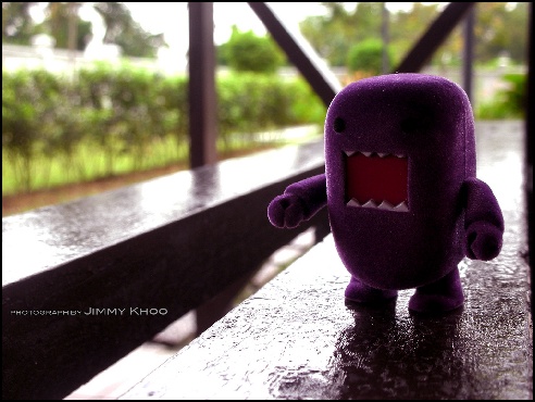 Jimmy Khoo Danbo pictures collections