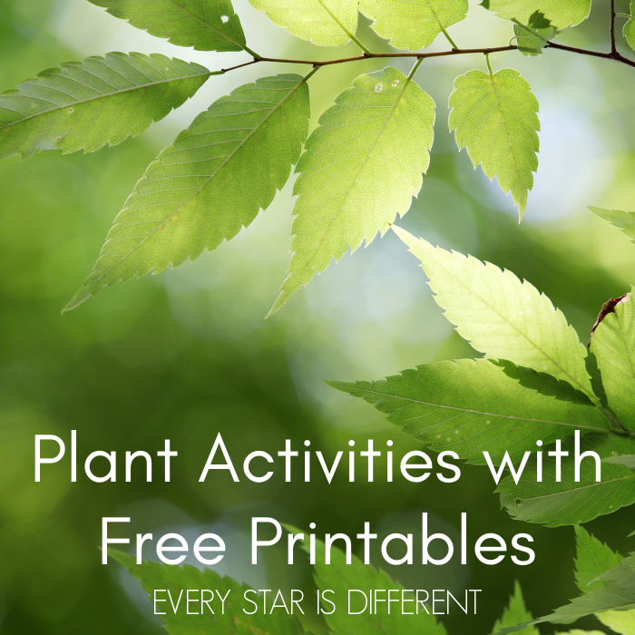 Plant Activities & Free Printables