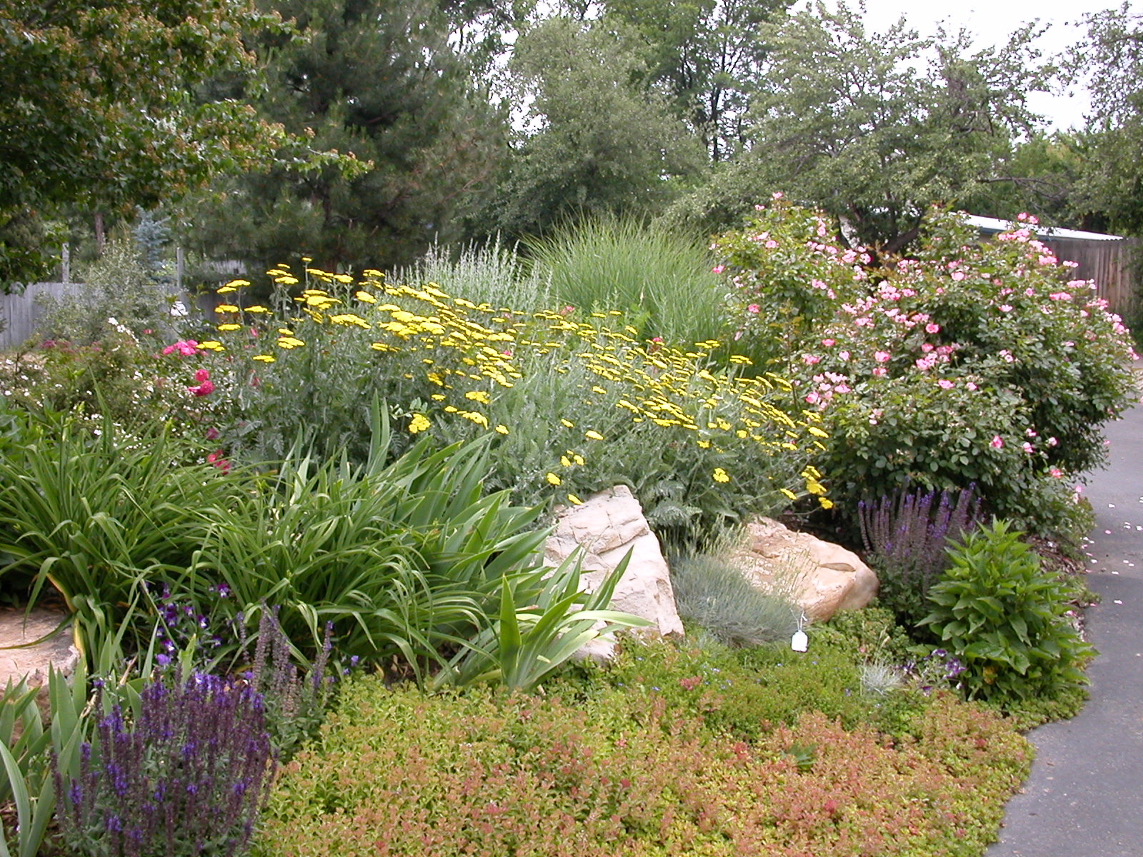 Goss-Grove Neighborhood Blog: Conservation Center Xeriscape Classes