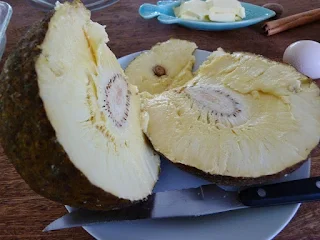 Ripe breadfruit pudding recipe