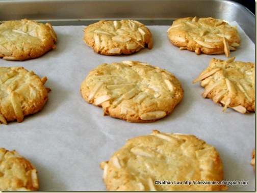 ultimate italian almond macaroons
