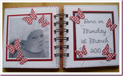 Gingham Mini Baby Book 1