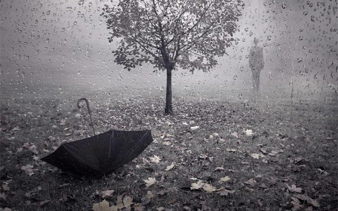 La lluvia deja reflejos 