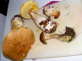 Ceps foraged in the forest waiting to be prepared.  Indre et Loire, France. Photographed by Susan Walter. Tour the Loire Valley with a classic car and a private guide.