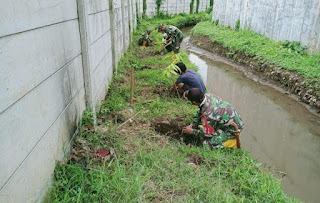 Tanam Pohon di Bantaran Sungai Sektor 4 Agar Bantaran Tidak Mudah Longsor Tergerus Arus Air.