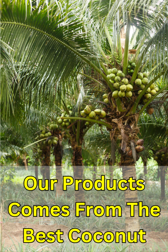 Our coco fiber comes from the best coconut in indonesia