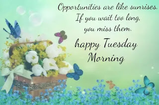 Good morning happy Tuesday