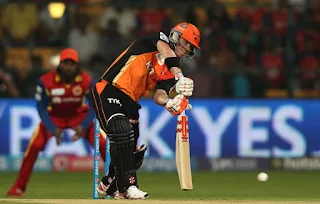 RCB vs SRH 8th Match IPL 2015 Highlights