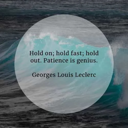 Patience quotes that'll help in accomplishing your goals