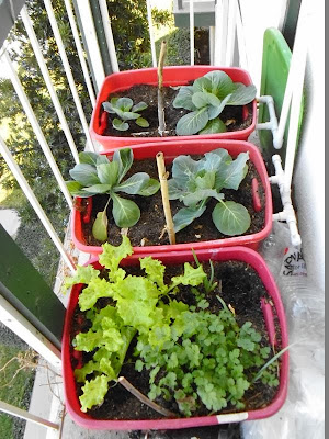 Balcony garden right overview