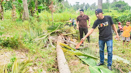 Warga Tonyaman Polman Tewas Tertimpa Pohon Kelapa