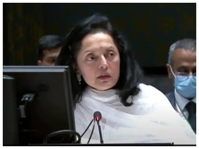 लोकतंत्र और बोलने की आजादी पर UN में पत्रकारों ने पूछा सवाल, भारतीय राजदूत ने दिया सीधा जवाब..