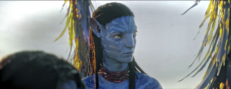 Avatar: The Way of Water (2022) Dual Audio {Hindi-English}