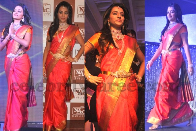 Trisha's Pink Bridal Saree