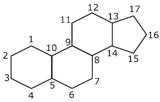 ciclopentanoperidrofenantreno