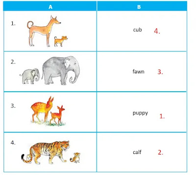 Class 4 English Revision Lesson Question Answer West Bengal Board