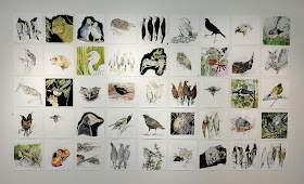 Creates Sew Slow: Marilyn Rea-Menzies Extinction is Forever Exhibition
