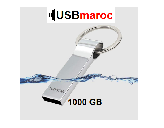  Clé USB RUICHENXI 1000 GB Stick Mémoire Robuste Trousseau Imperméable Flash Drive Pendrive USB 1000 Go a vendre au maroc 