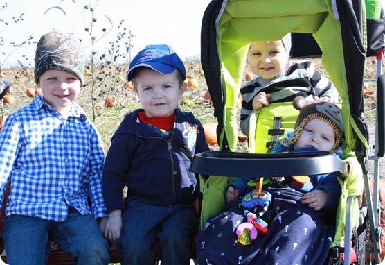 curtis_orchard_2012