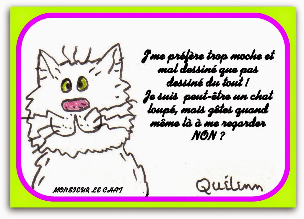 Monsieur Le Chat Et Moi Le Dessin Trop Loupe De Monsieur Le Chat