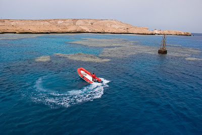 Red Sea reef can be seen even in shallow water
