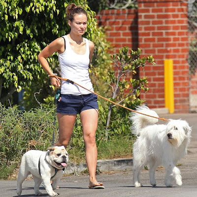  walking the dogs like Olivia Wilde Never before have I meant it more 
