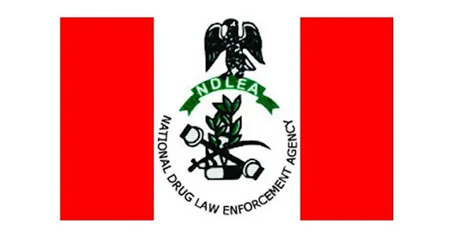 NDLEA Siezes 460.34kg Drugs, Nabs 348 Suspects In Akwa Ibom